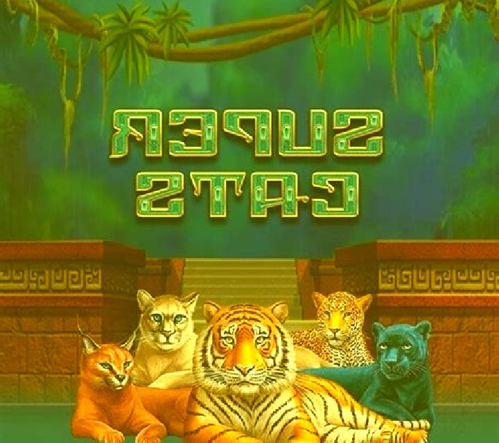 Super Cats slot game