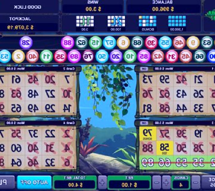 Surfing Beauties Video Bingo slot machine