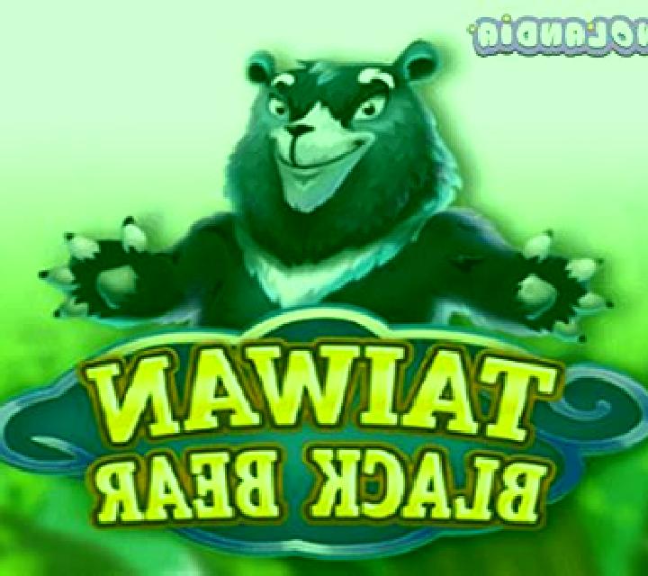 Taiwan Black Bear online slot