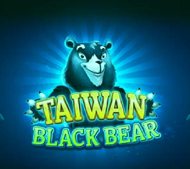 Taiwan Black Bear slot game