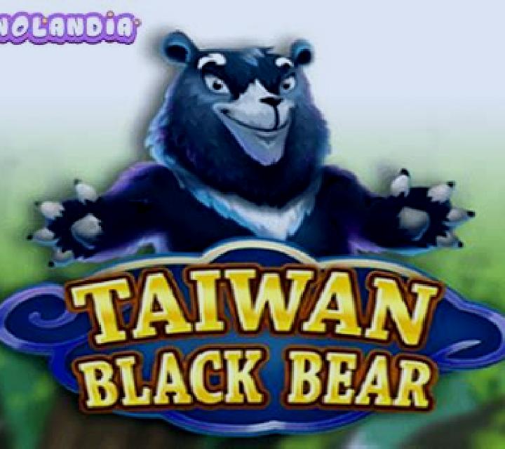 Taiwan Black Bear slot machine