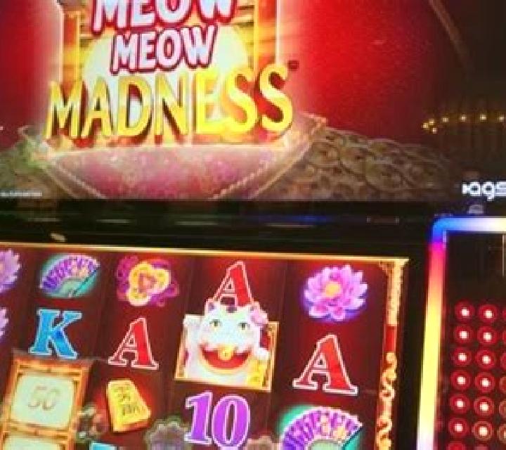 Tales Of Meow slot machine