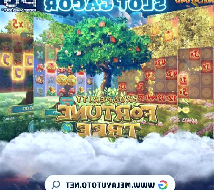 Tall Toucan Tree slot machine