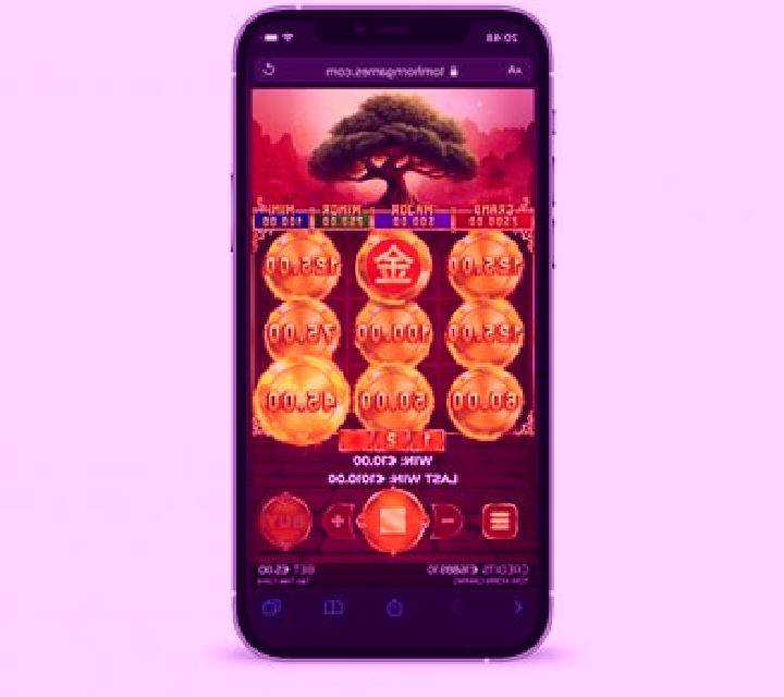 Tao Tree Coins slot game
