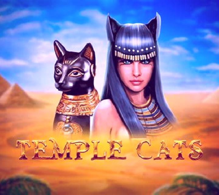 Temple Cats slot game