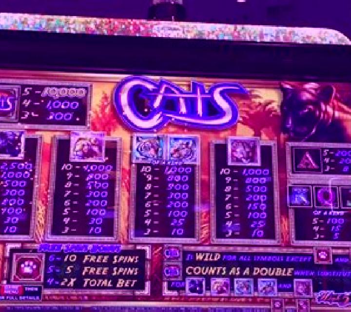 Temple Cats slot machine