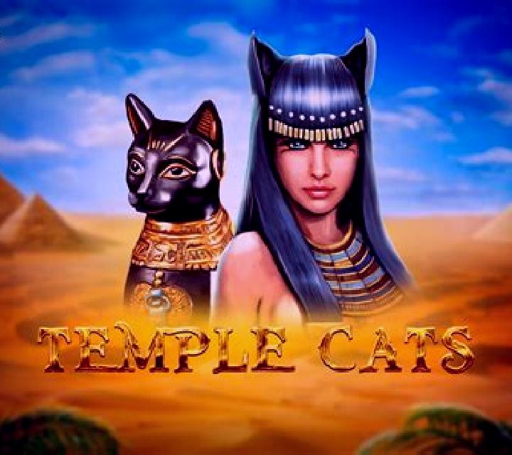 Temple Cats slot