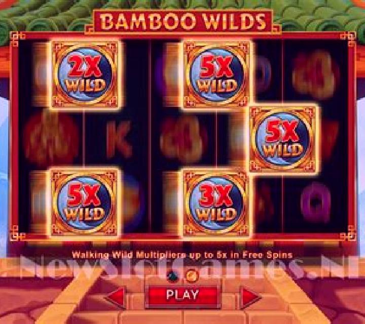 Temple Wilds slot game
