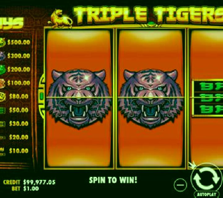 Ten Tigers slot game