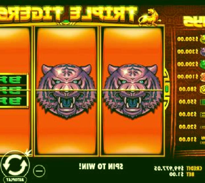 Ten Tigers slot machine