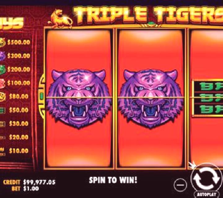 Ten Tigers slot