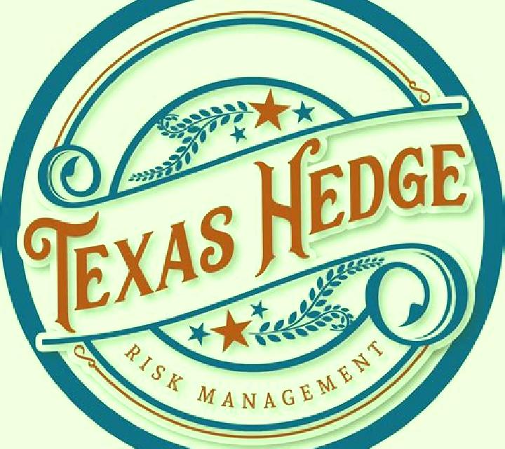 Texas Hedge Em online slot