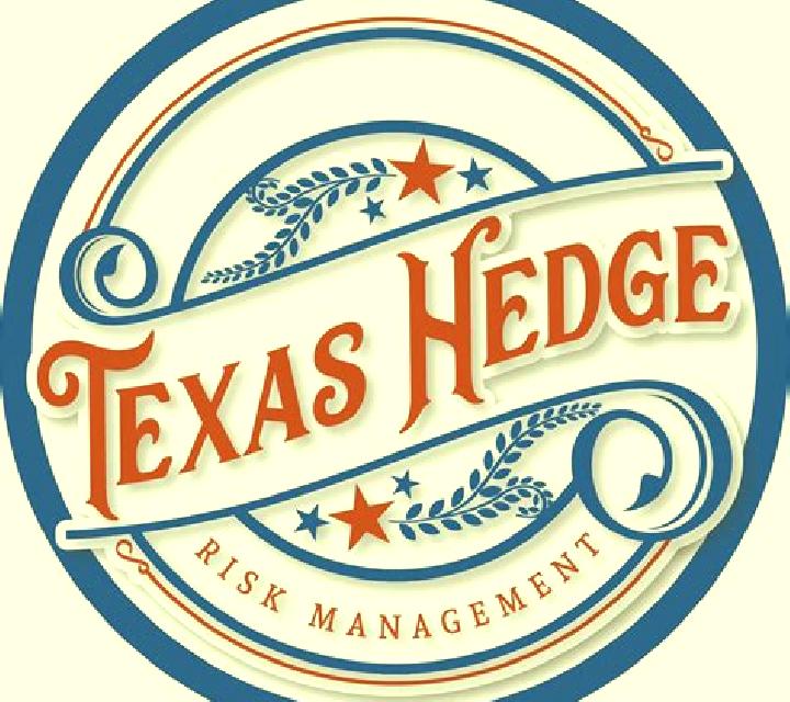 Texas Hedge Em slot game