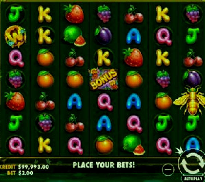 The Bees slot game