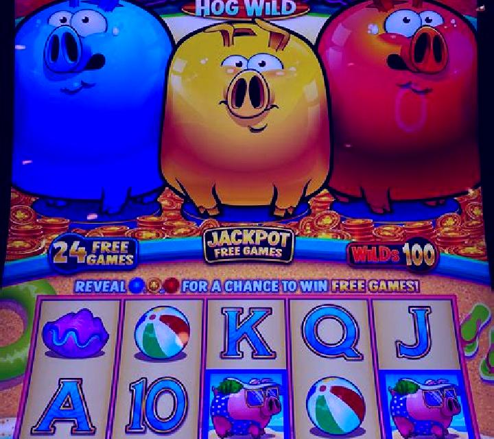 The Big Coin Pig slot machine