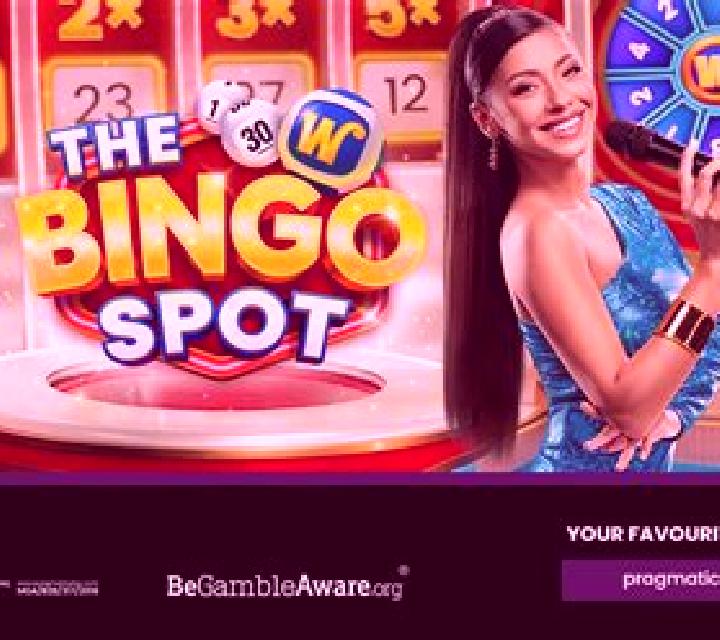 The Bingo Spot online slot