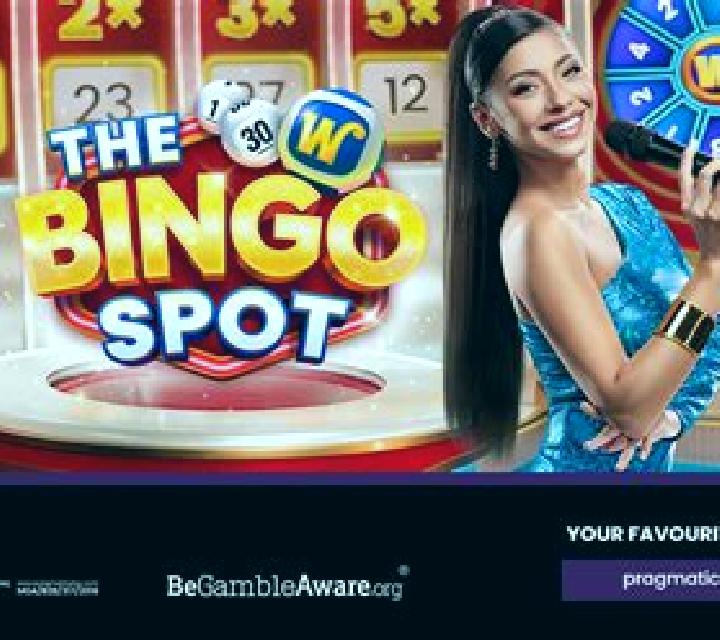 The Bingo Spot slot game