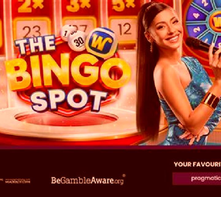 The Bingo Spot slot