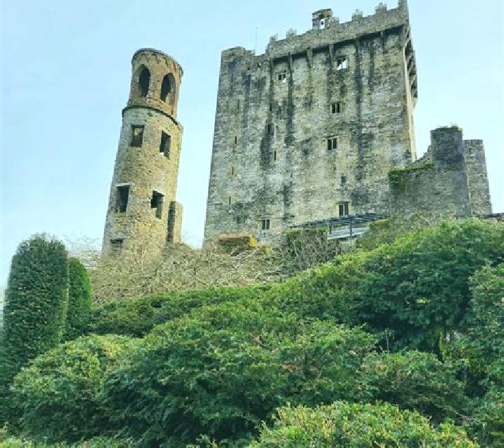 The Blarney Stone slot machine