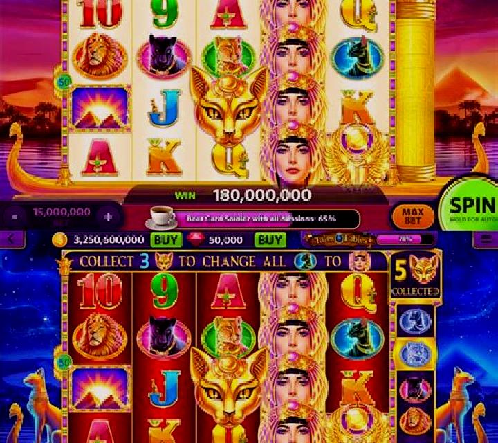 The Cat House (Antplay) slot game