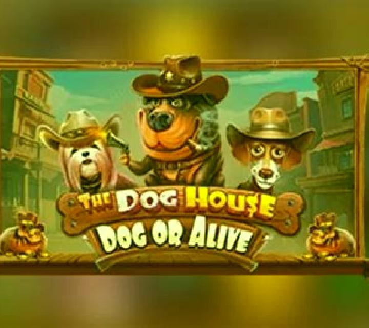 The Dog House - Dog or Alive slot game