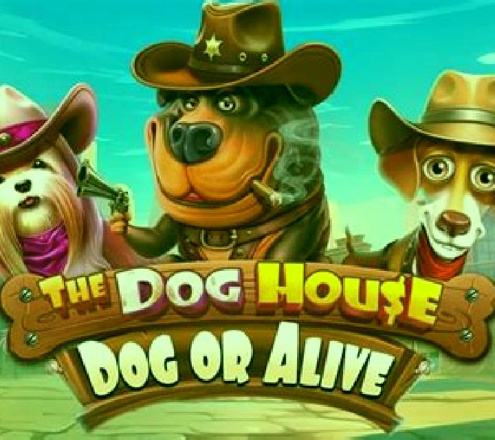 The Dog House - Dog or Alive slot machine