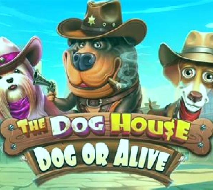 The Dog House - Dog or Alive slot