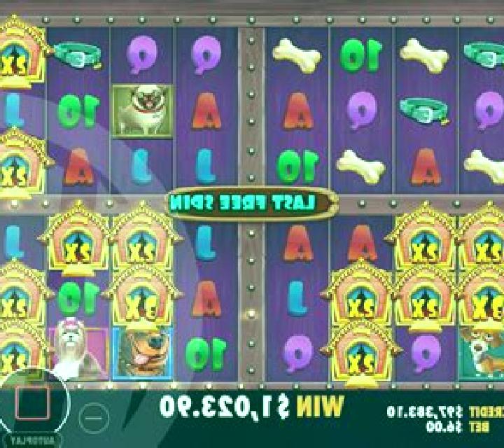 The Dog House Megaways 1000 slot game