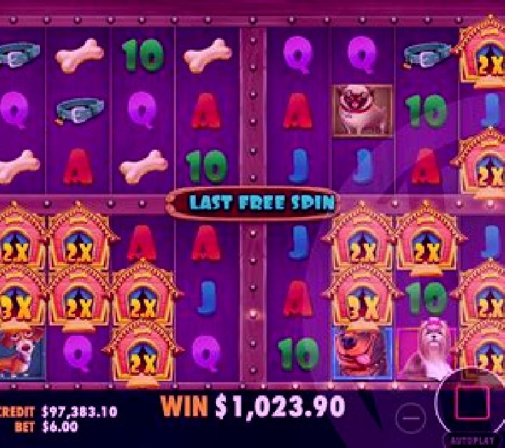 The Dog House Megaways 1000 slot machine
