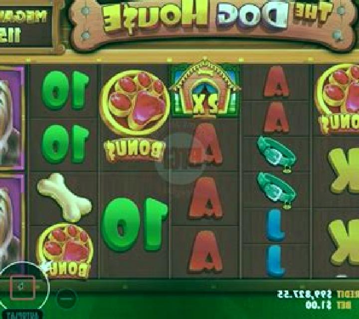 The Dog House Megaways slot
