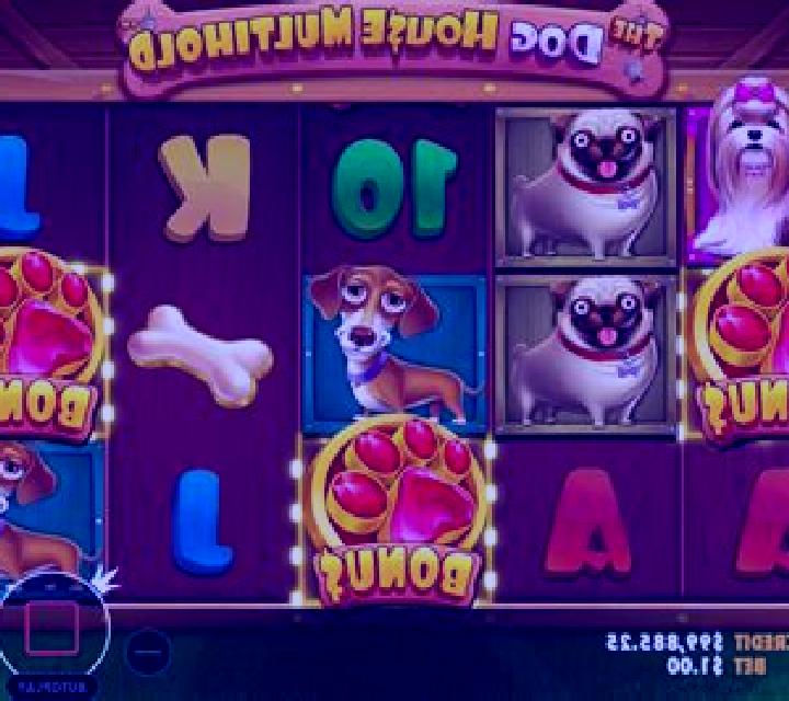The Dog House Multihold slot machine