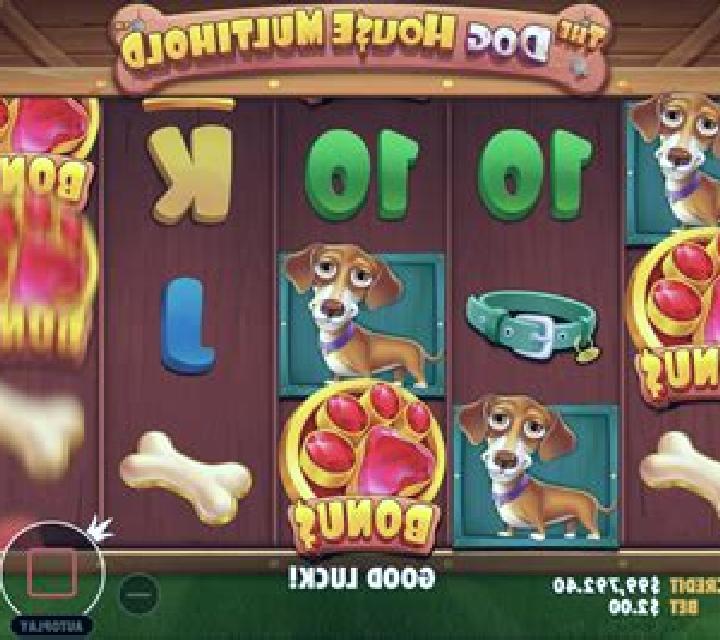 The Dog House Multihold slot