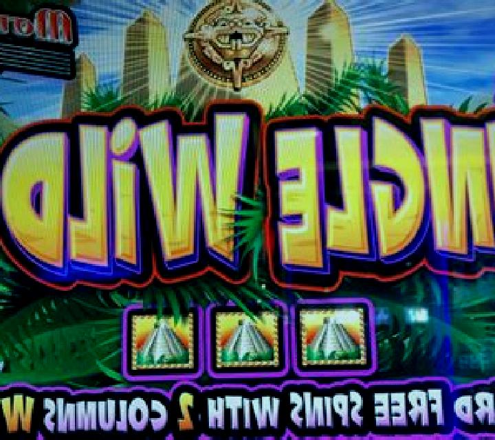 The Jungle II slot machine