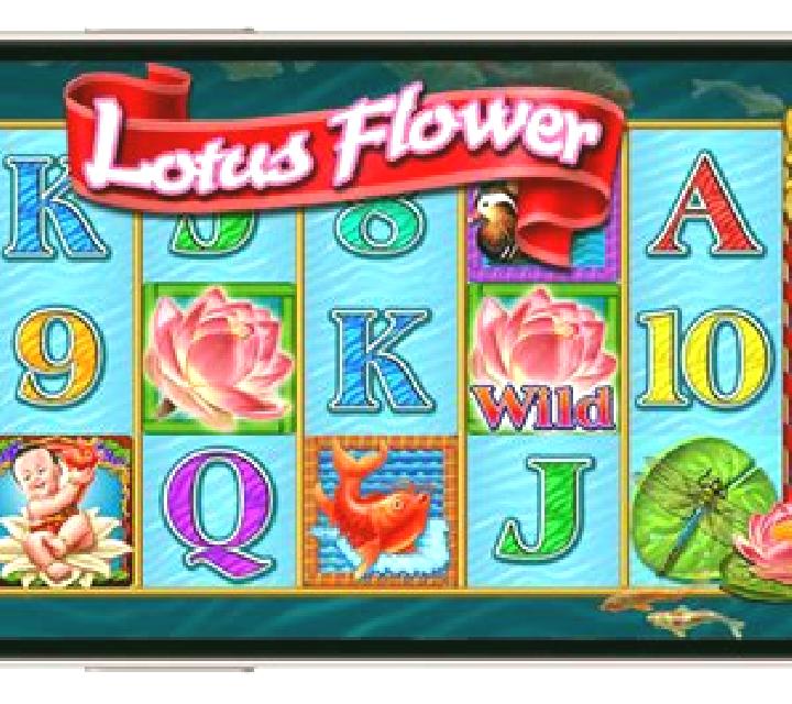 The Magic of Night Flower slot game