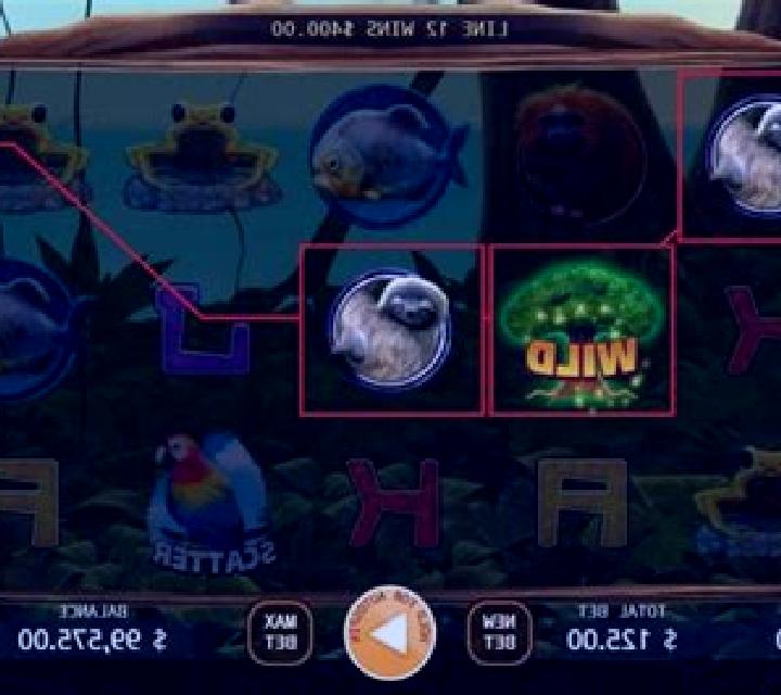The Primeval Rainforest slot