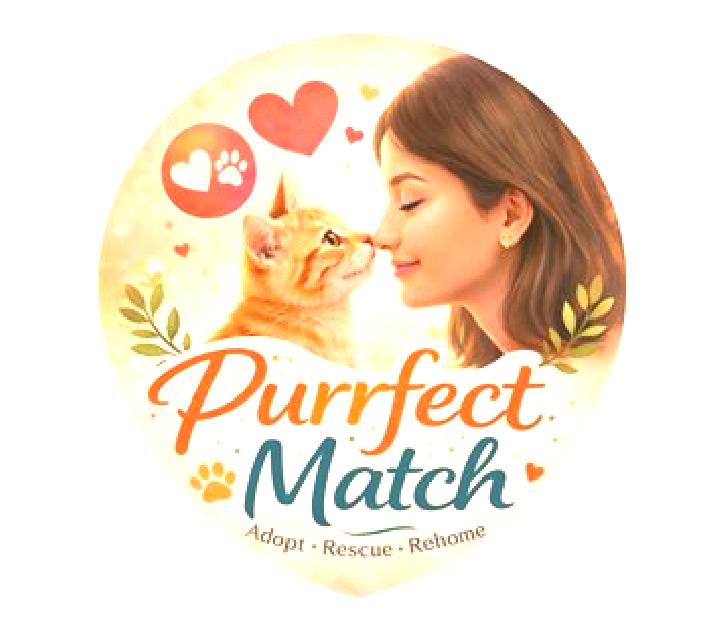 The Purrfect Match slot