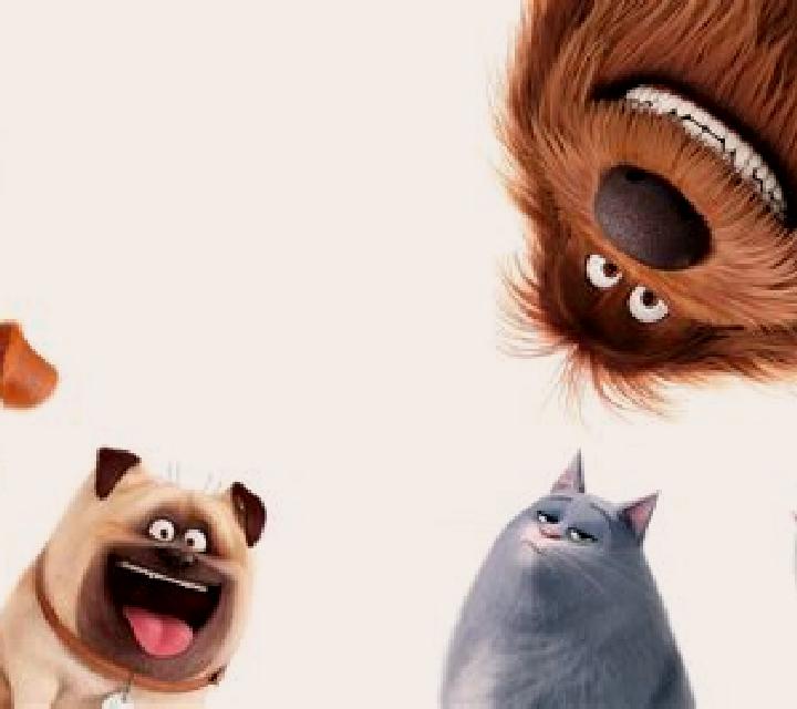 The Secret Life of Pets online slot