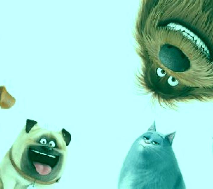 The Secret Life of Pets slot game