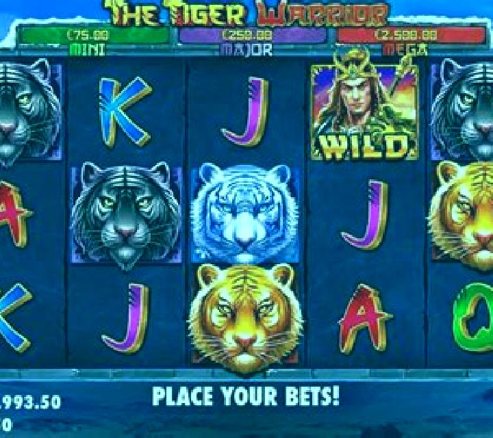 The Tiger Warrior slot