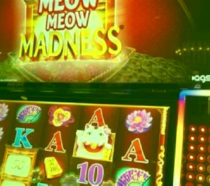 The Time is Meow slot machine