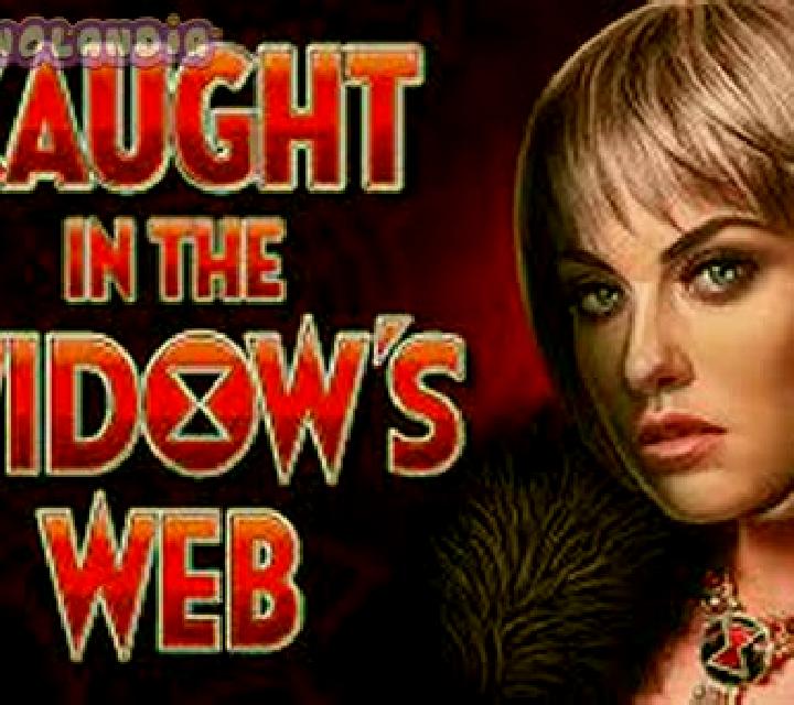 The Widow s Ways slot game