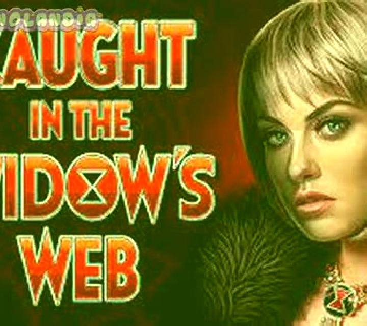 The Widow s Ways slot