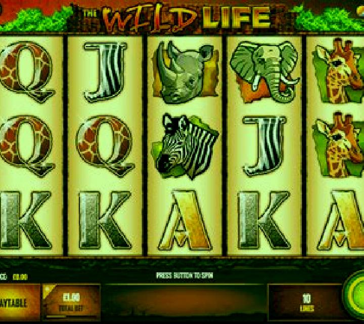 The Wild Life slot machine