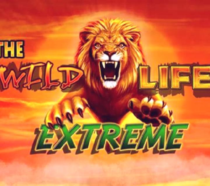 The Wild Life slot