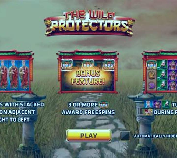 The Wild Protectors slot