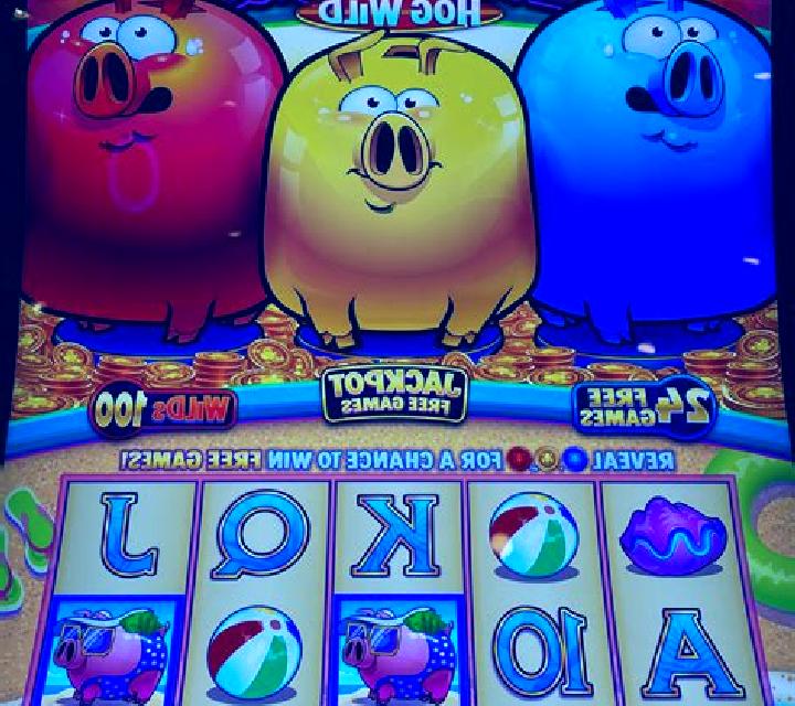 Three Crazy Piggies slot game