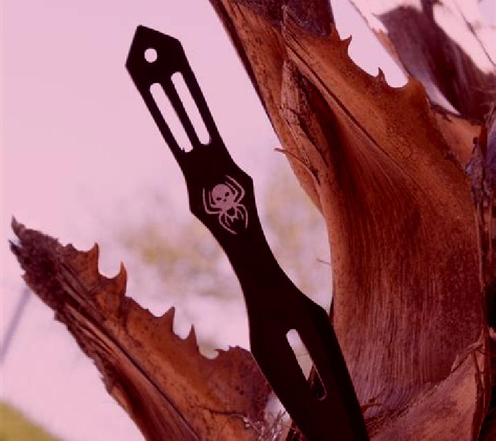 Throwing Knife slot