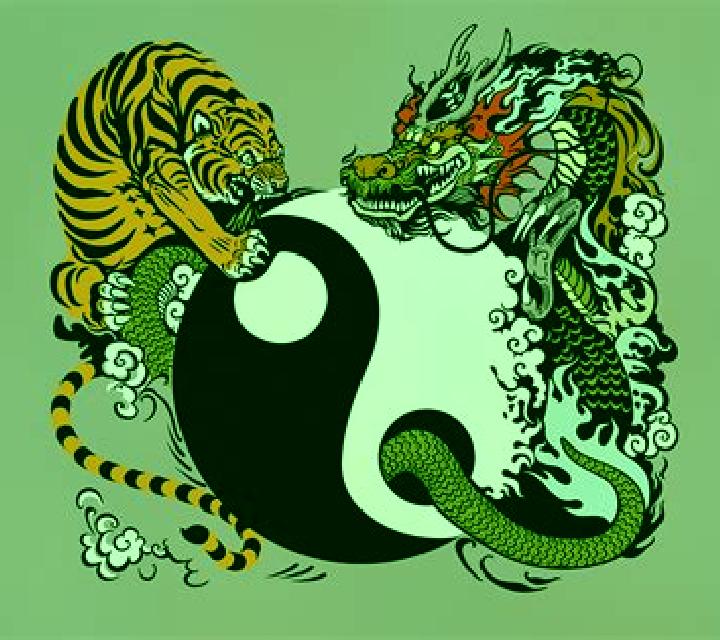Tiger and Dragon Wild online slot