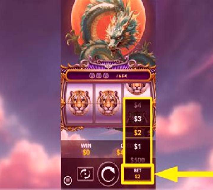 Tiger and Dragon Wild slot