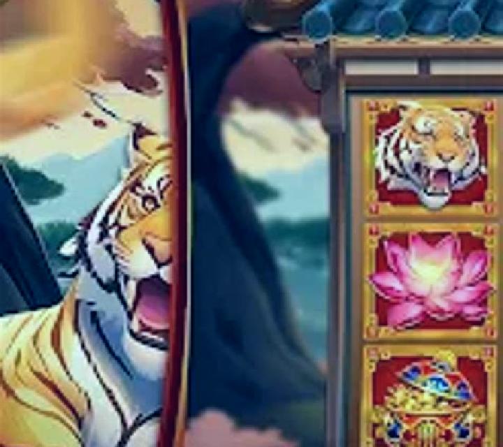 Tiger Dance slot game